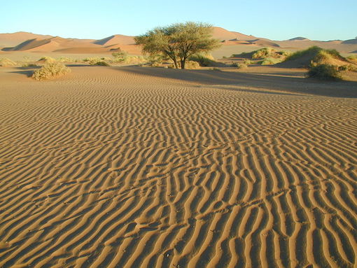 Sunrise in Sossusvlei