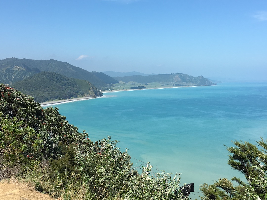 A view of New Zealand east coastline