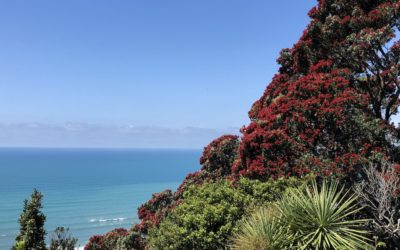 Day six New Zealand cycling tour