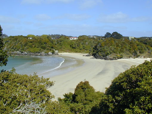 Halfmoon Bay Stewart Island