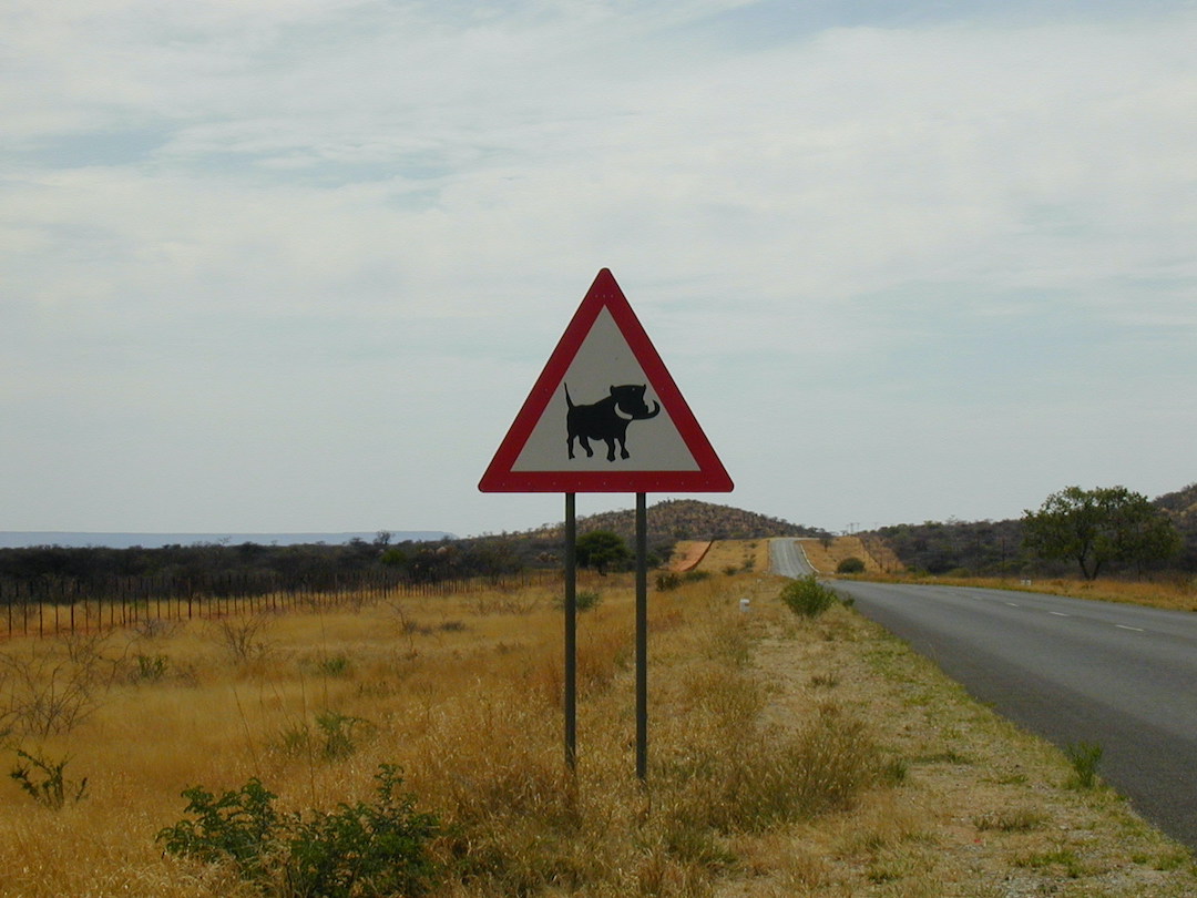 Red triangle road sign in Botswana warning of buffalo ahead