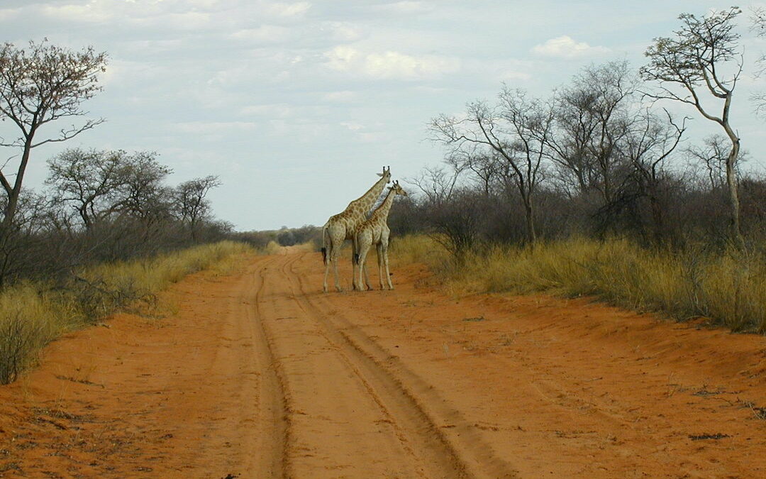 First Change of Plan in Namibia