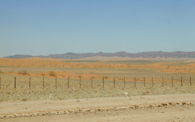 On a dark desert highway…