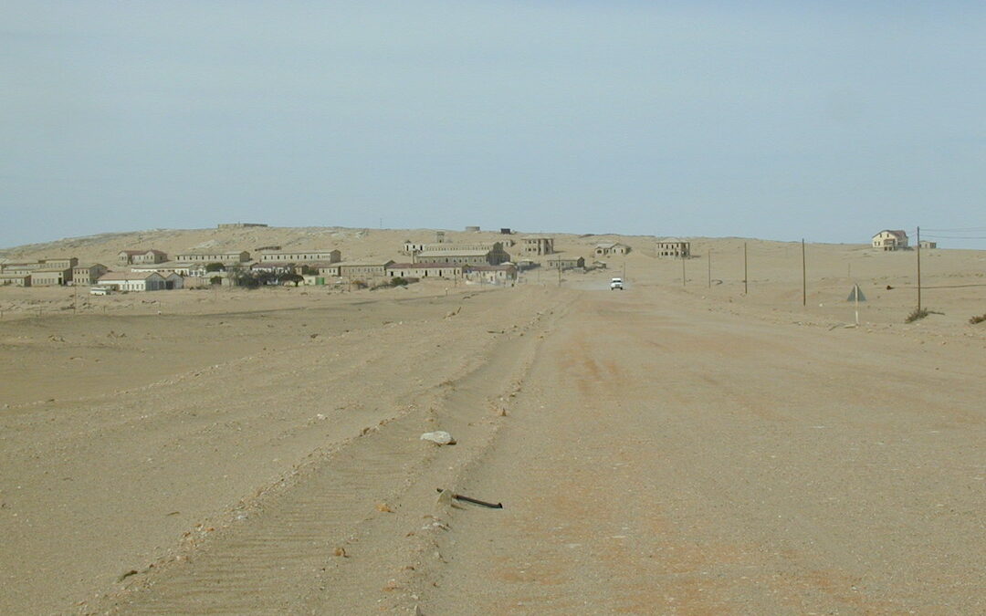 Windswept on the way out