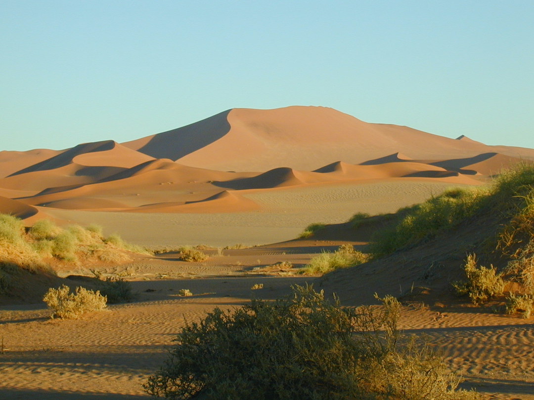 Namib Desert