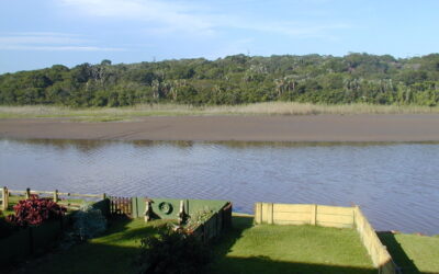 Pirates Creek
