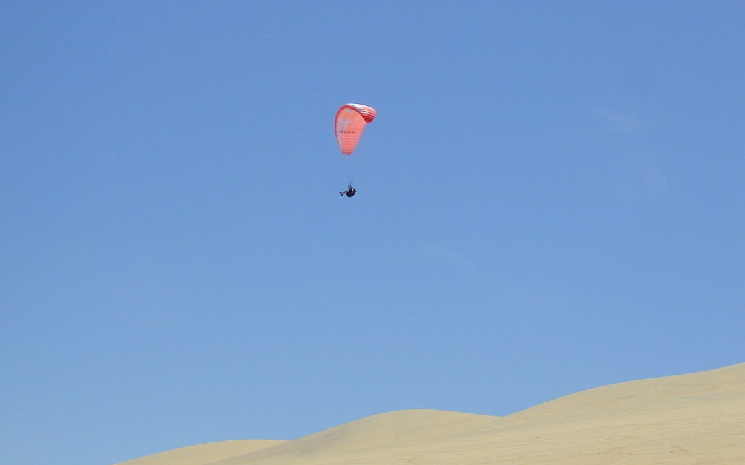 Soaring in Swakopmund